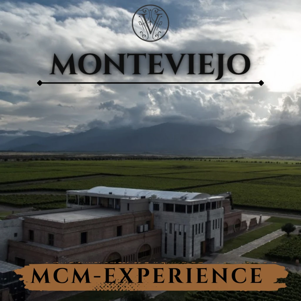 MONTEVIEJO2MUNDOS4-(1733).webp