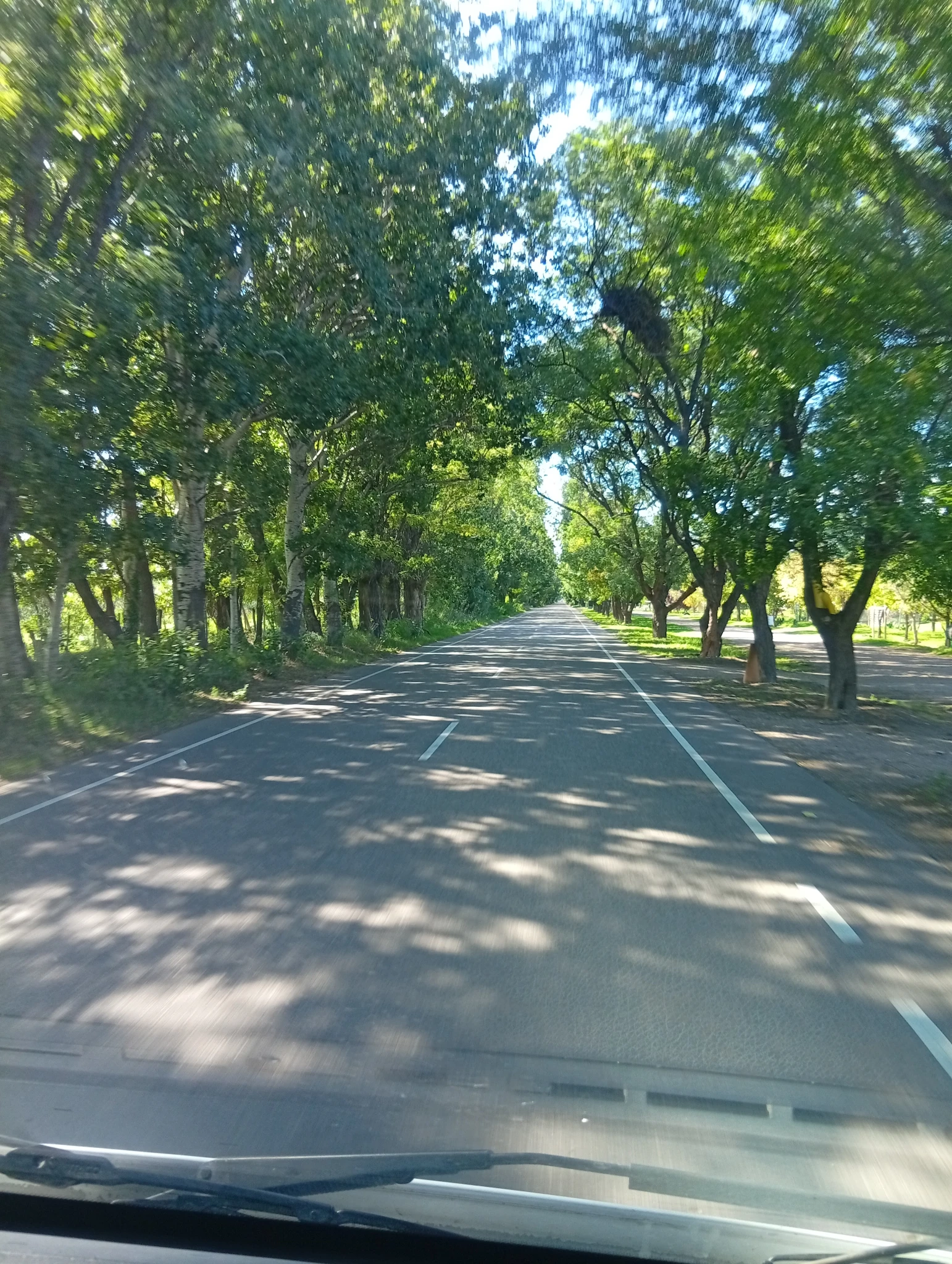 1777764618549.webp