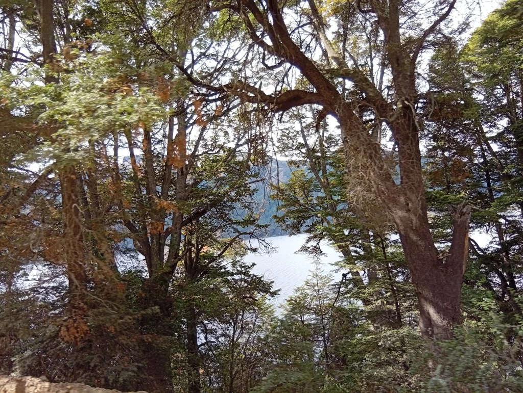 1777764619136.webp