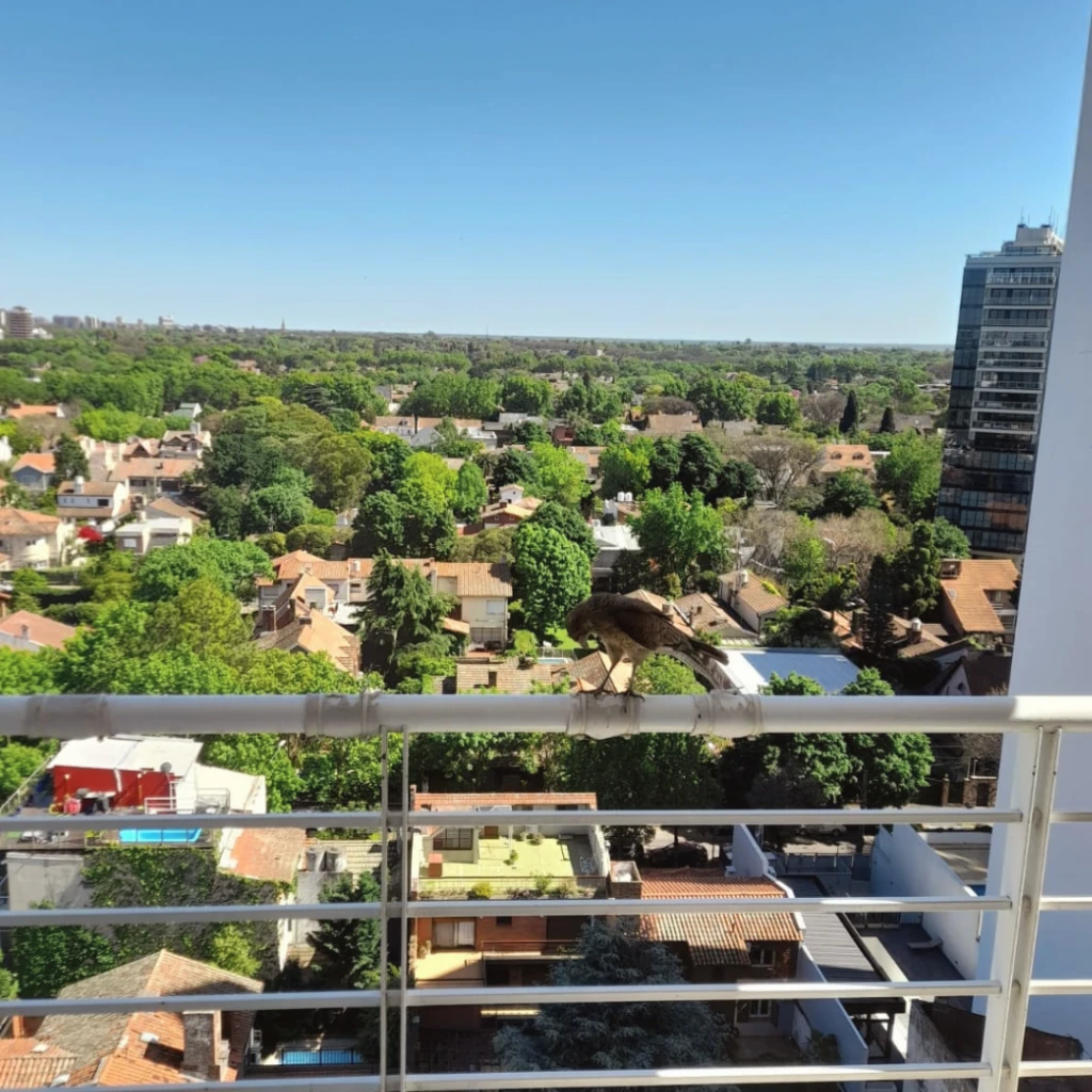 Zona residencial y arbolada de Vicente López con viviendas y edificios, área de atención de Dekliner para control profesional de plagas