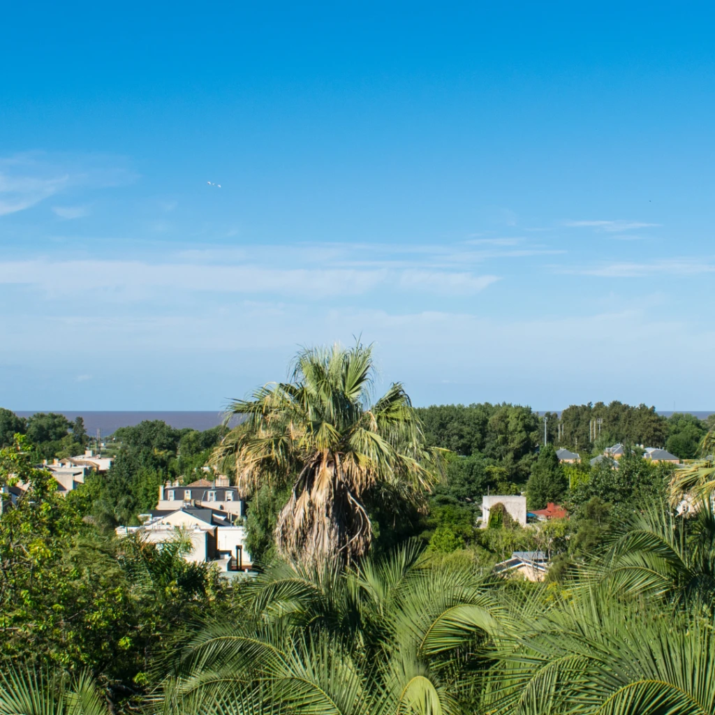 Vista arbolada de Zona Norte, asociada a espacios verdes, jardines y áreas residenciales donde Dekliner realiza control profesional de plagas