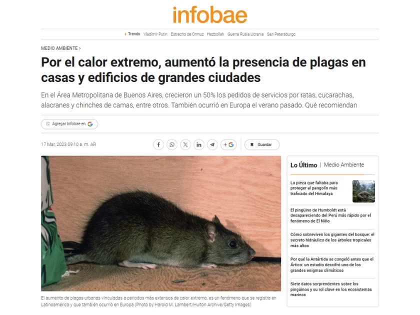 Nota de Infobae sobre el aumento de plagas urbanas en casas y edificios durante períodos de calor extremo