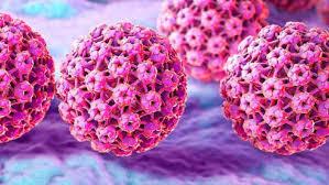 Test de HPV
