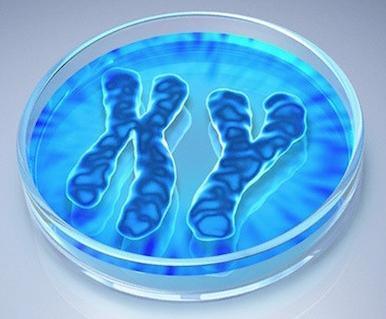 Microdeleciones del cromosoma Y 