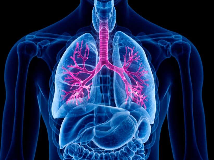Fibrosis quística