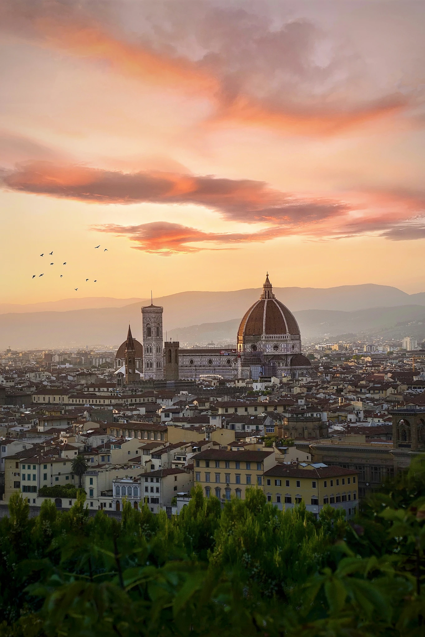 FLORENCIA.webp