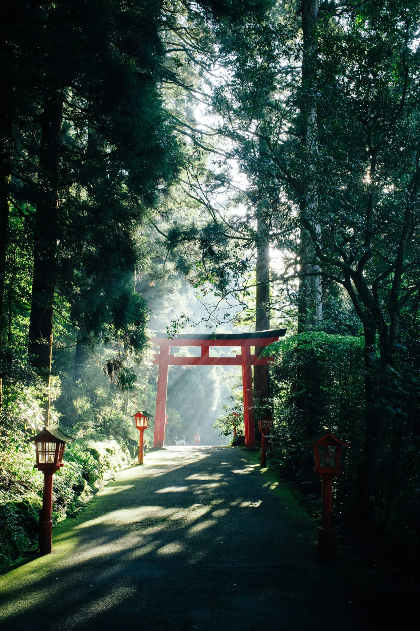 JAPON2.webp