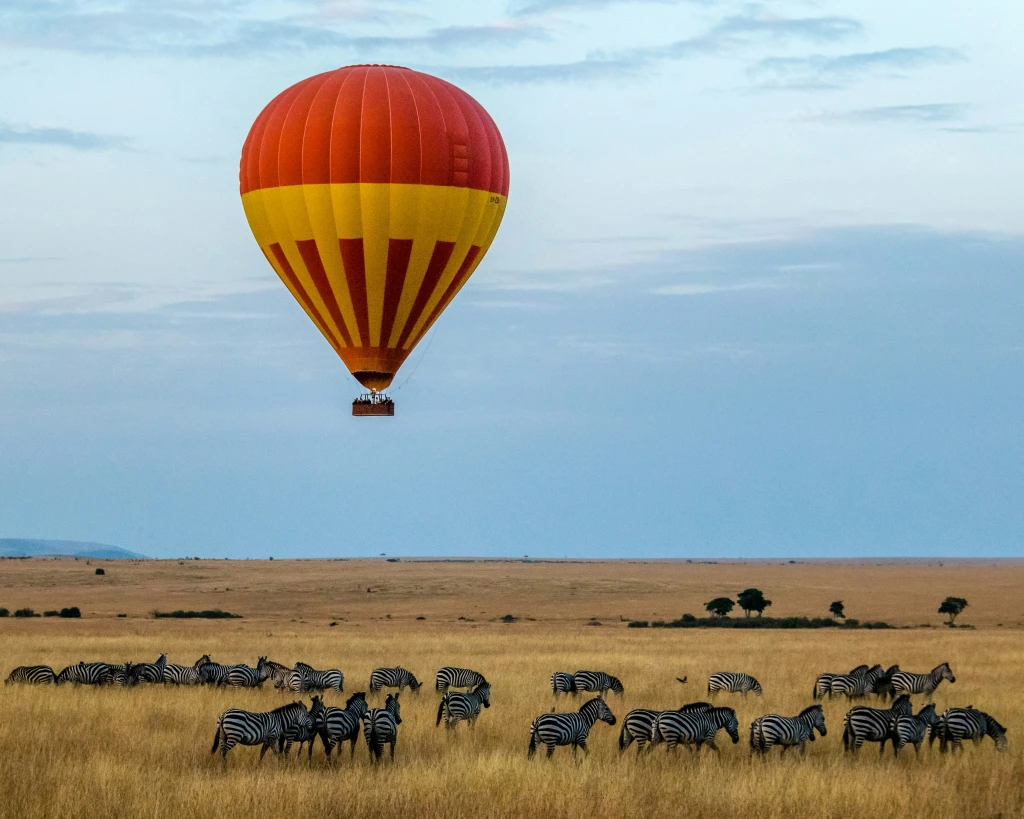 MaasaiMaraNationalReserve.webp