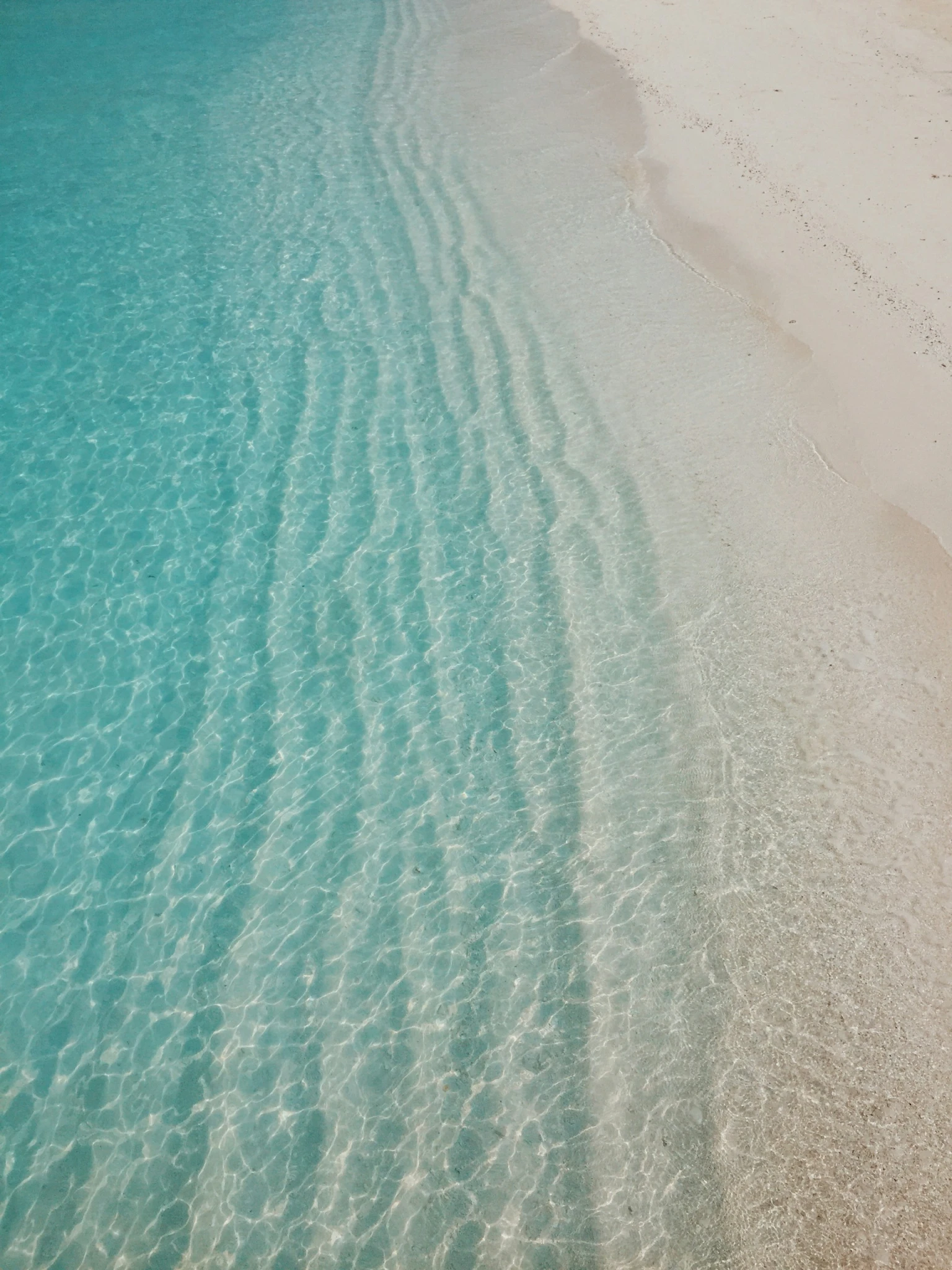 ibrahim-rifath-NJ7CaVfWYaw-unsplash.webp