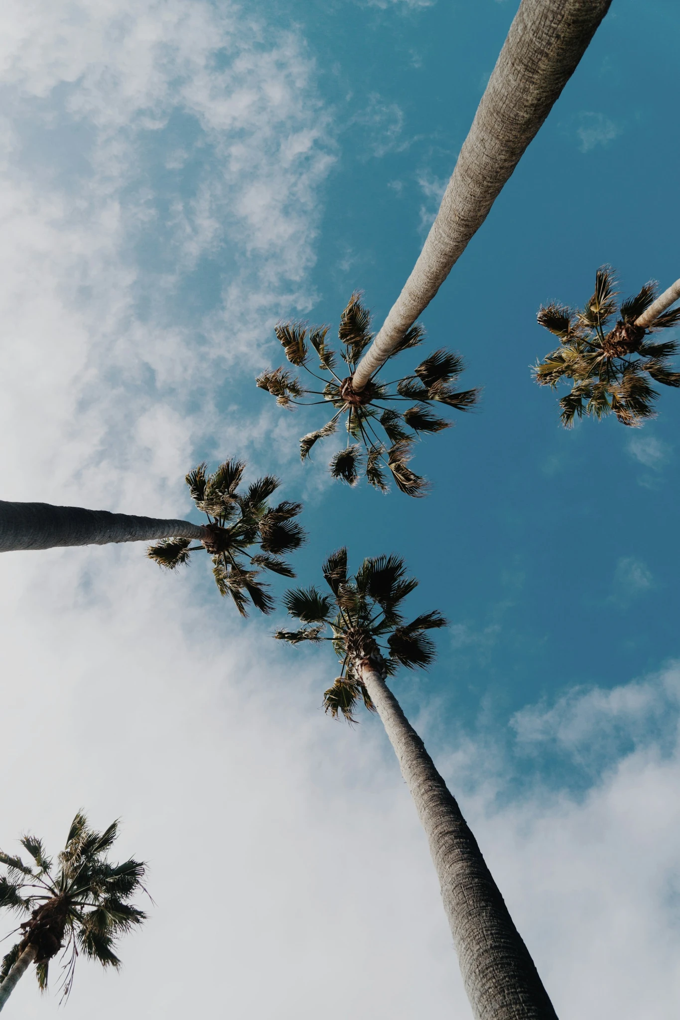 wil-stewart-KTbABnVzHo-unsplash.webp