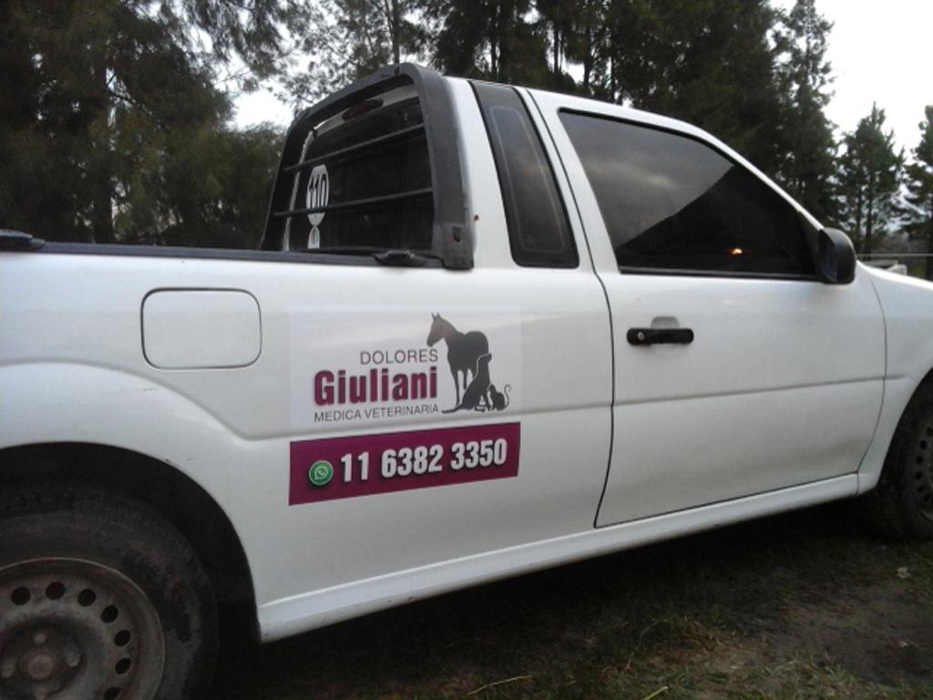 Ploteos, corpóreos, rótulos