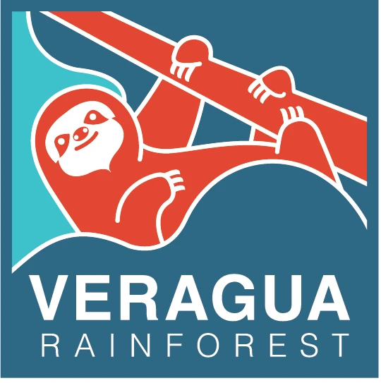 1-VRLogoPrincipal.webp
