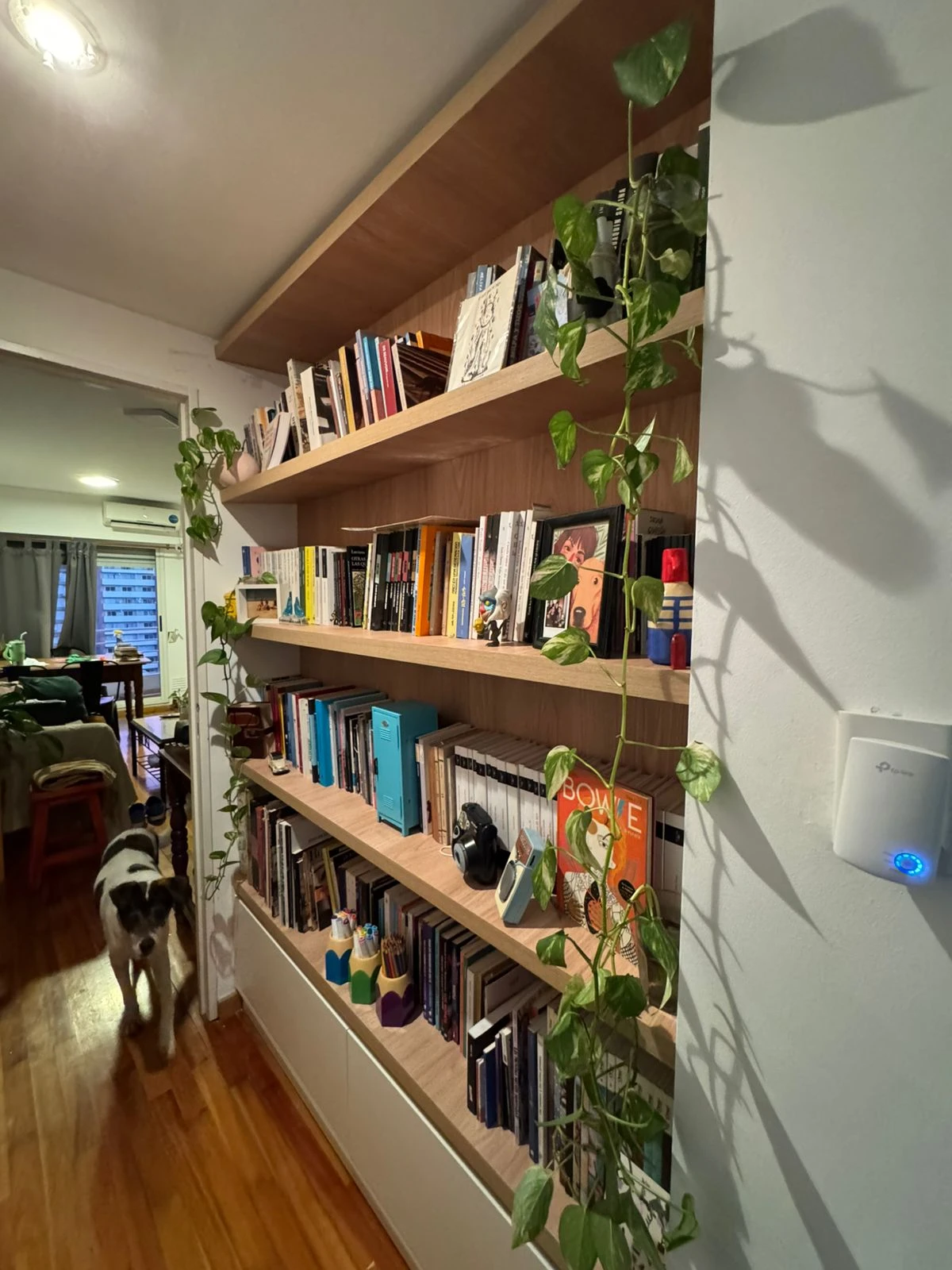 biblioteca a medida 