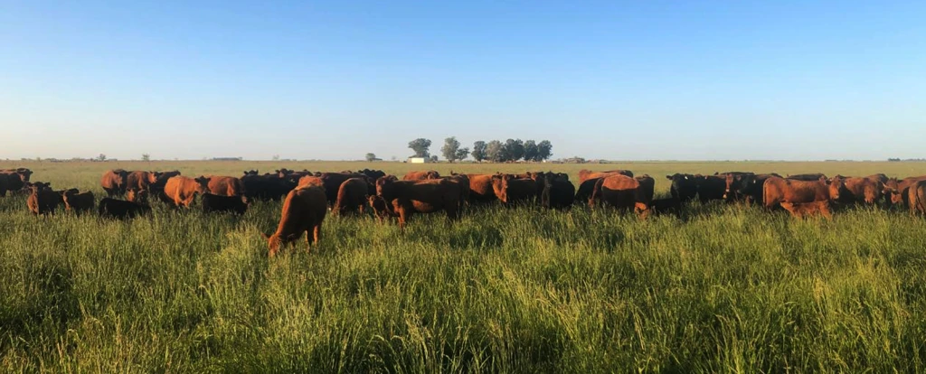 B03.webp