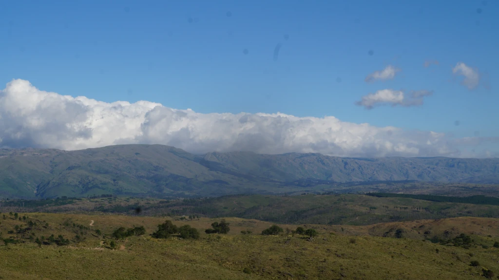 DSC01524.webp