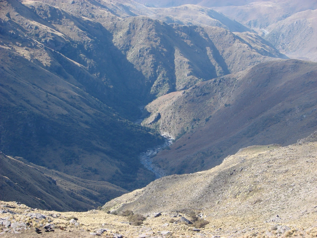 Ave silvestre observada desde las alturas en el Champaquí