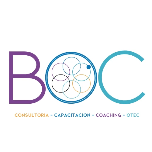Boc Consultores