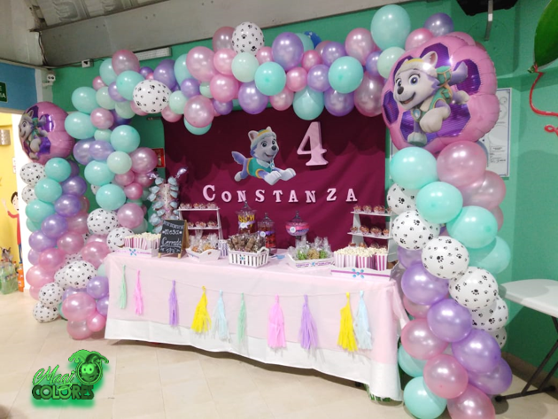 Decoración Orgánica Paw Patrol