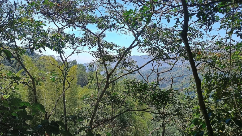 paisaje2.webp