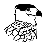 barbapalus