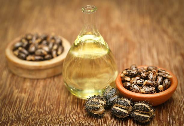 ricinus communis oil