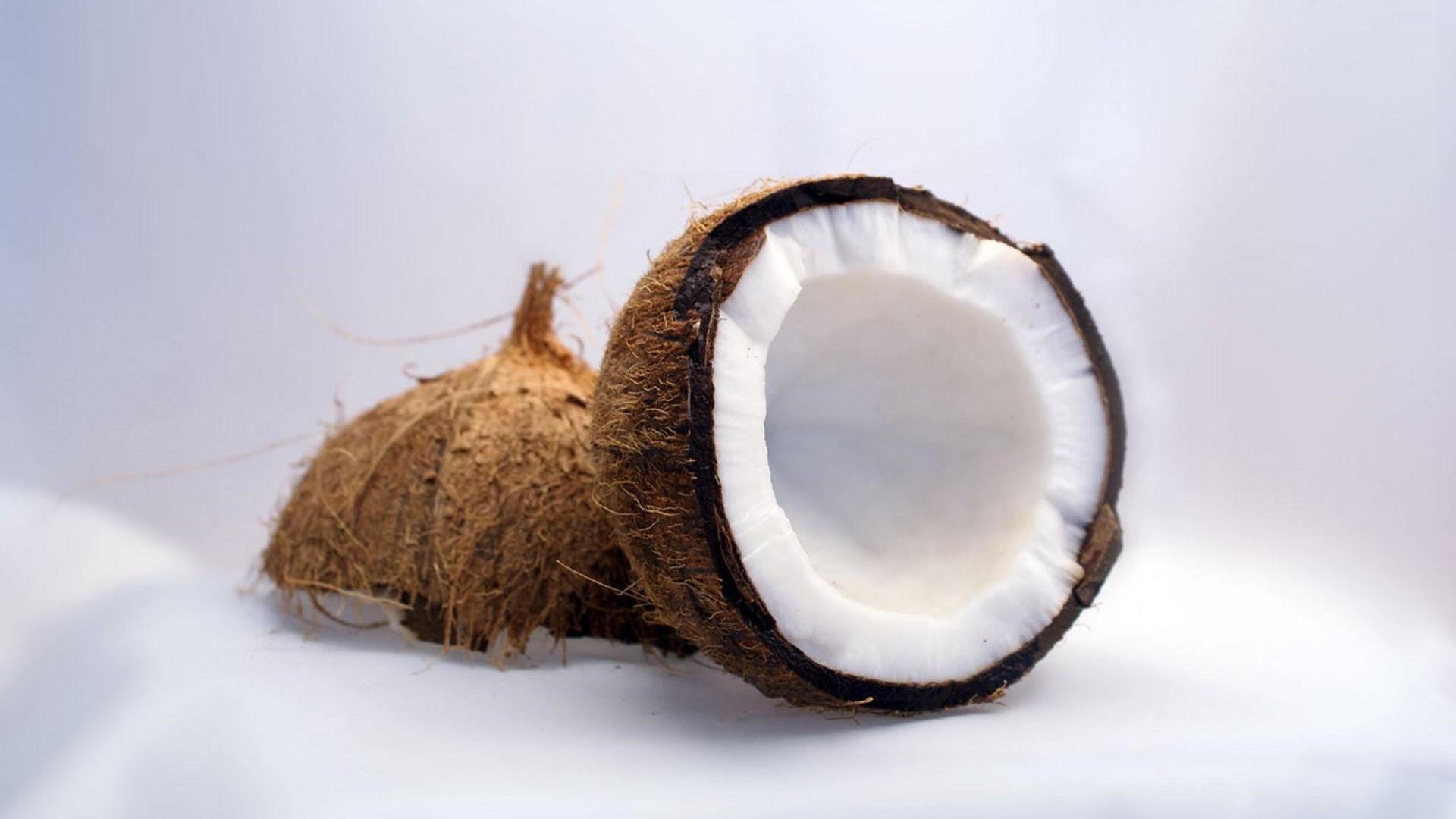 cocos nucifera oil
