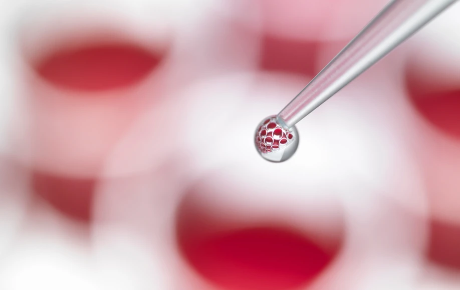 Biotechnology7-(1128).webp
