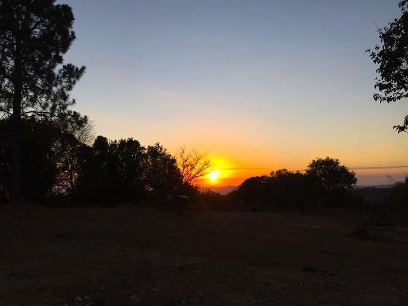 amanecer-aguila-blanca-10.webp