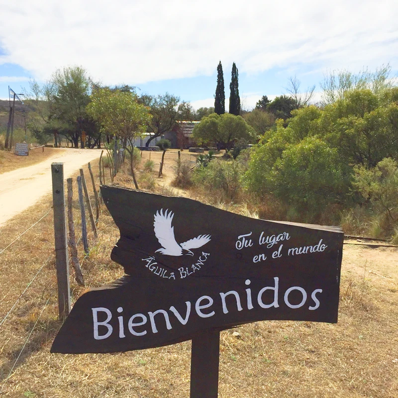 conoce-aguila-blanca-02.webp