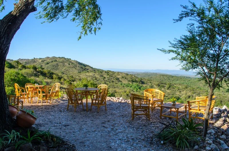 terrazas-bar-aguila-blanca-02.webp