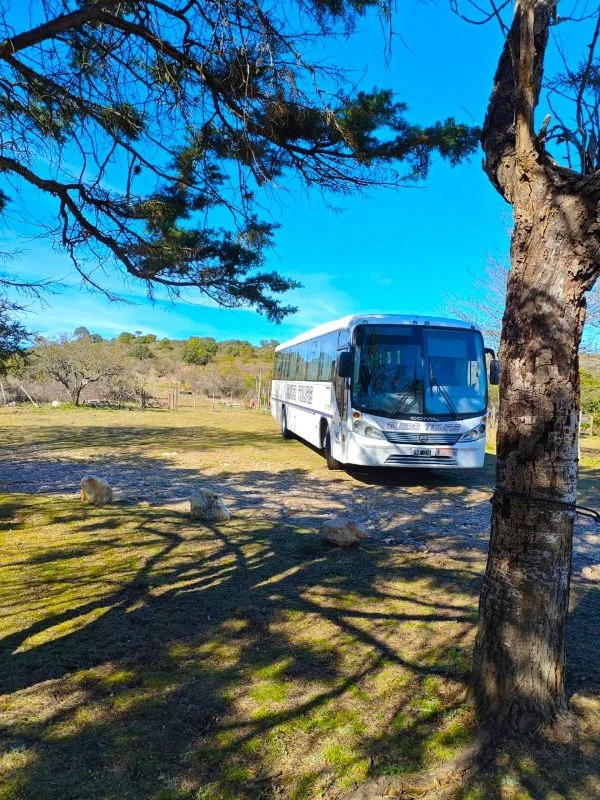 visita-estudiantil-bus-aguila-blanca-01.webp