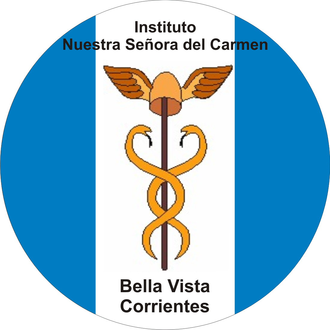 Instituto Nuestra Señora del Carmen