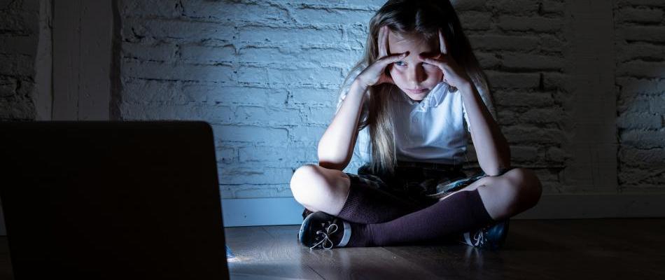 Como Cuidar a los Chicos en Internet - Parte II