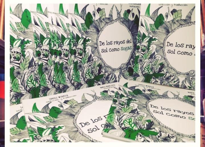Reseña del CEDIE Neuquén