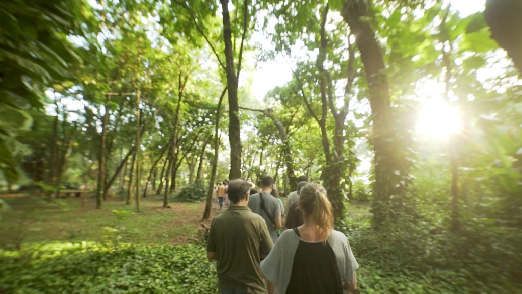 Jardin Botánico Municipal