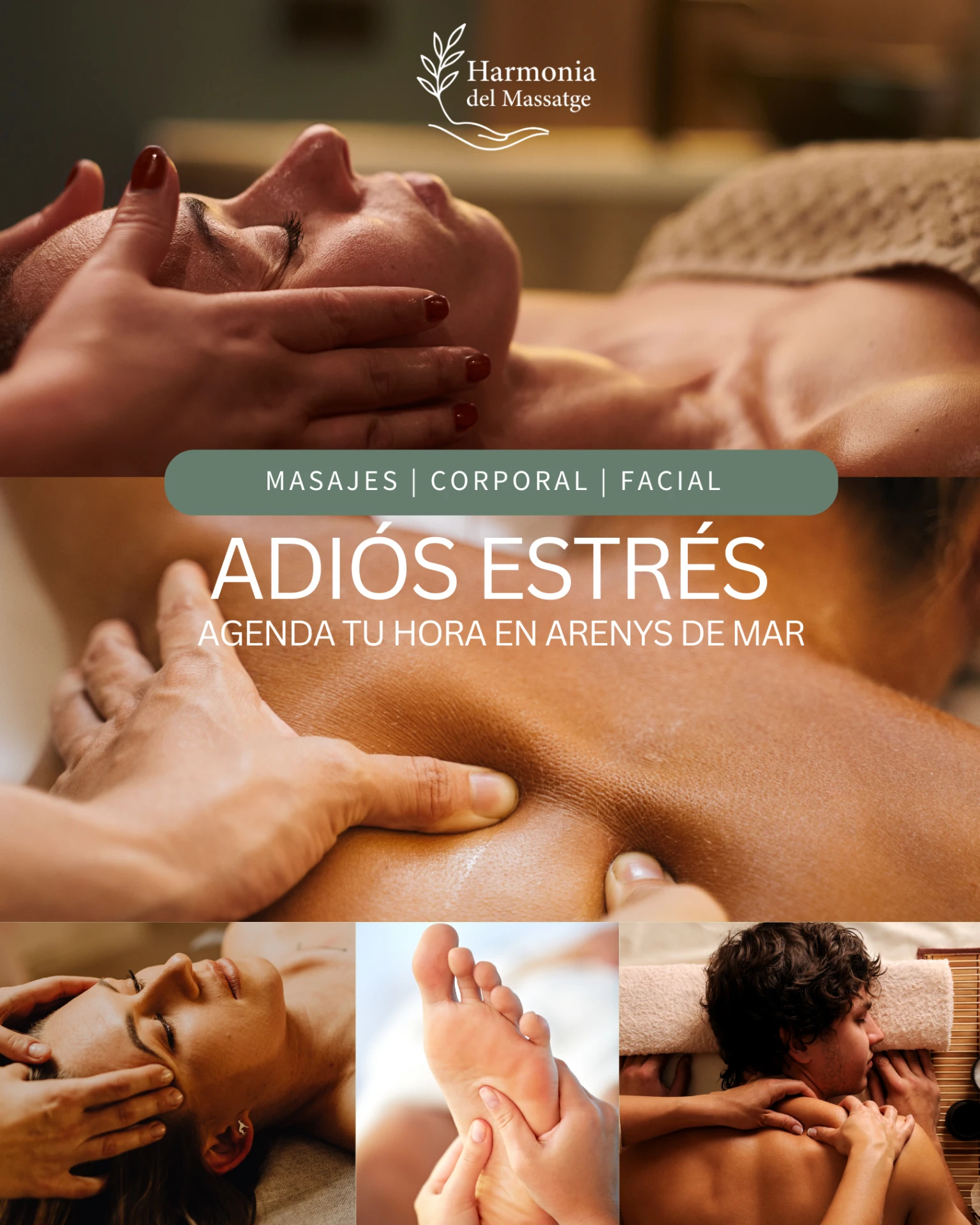Harmonia del Massatge