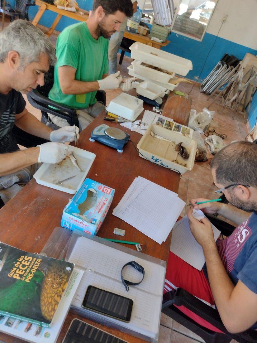 Mapeo colaborativo de peces