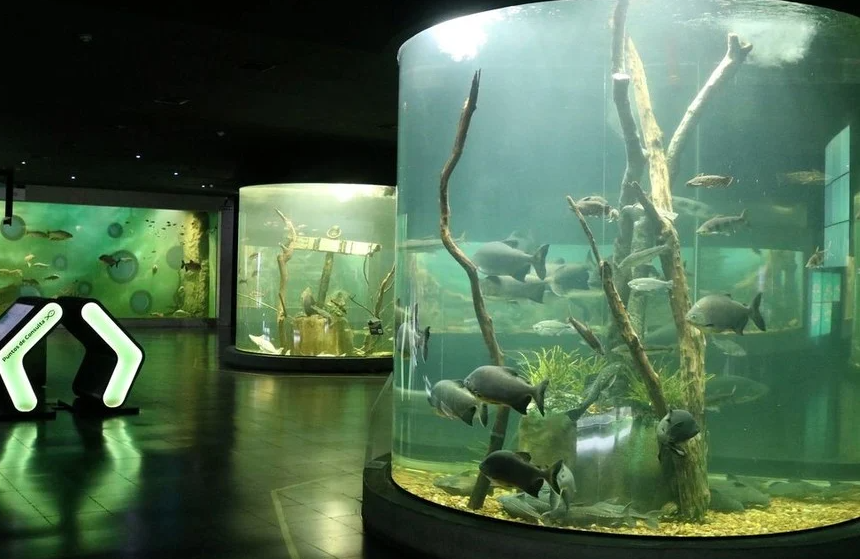 VI Encuentro por el Día Mundial de los Peces Migradores