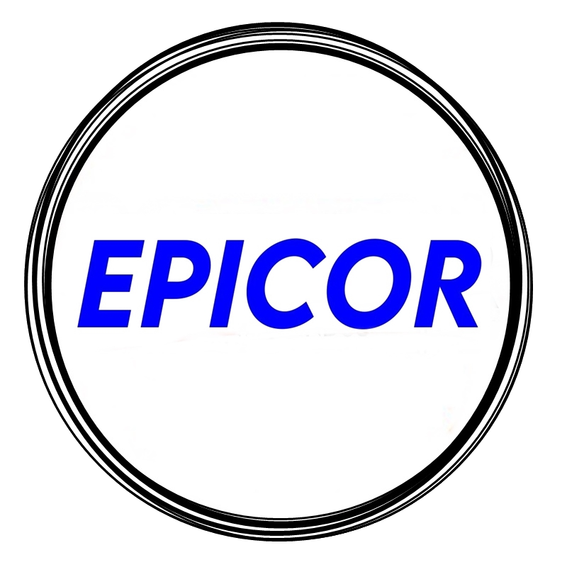 Ferreteria Epicor