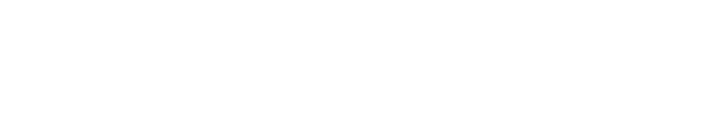 Citroën J Pesado Castro