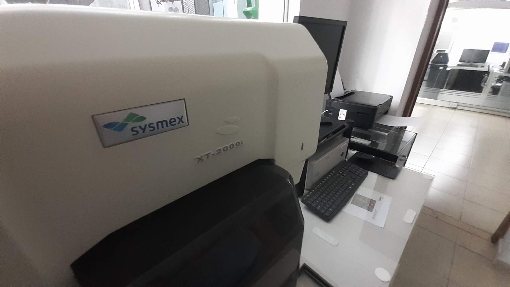analizador hematológico automatizado