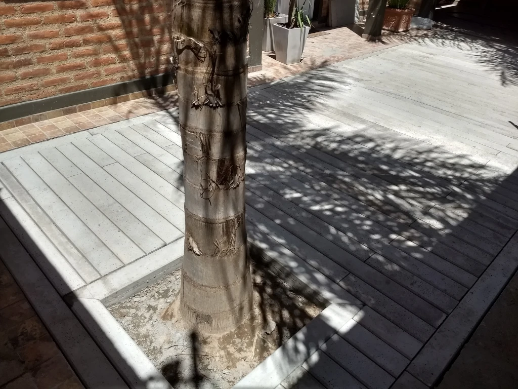 Villa Parque Chacabuco 2018