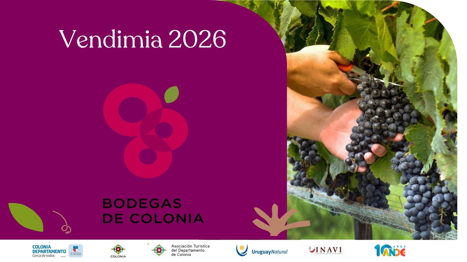 Vendimia 2026