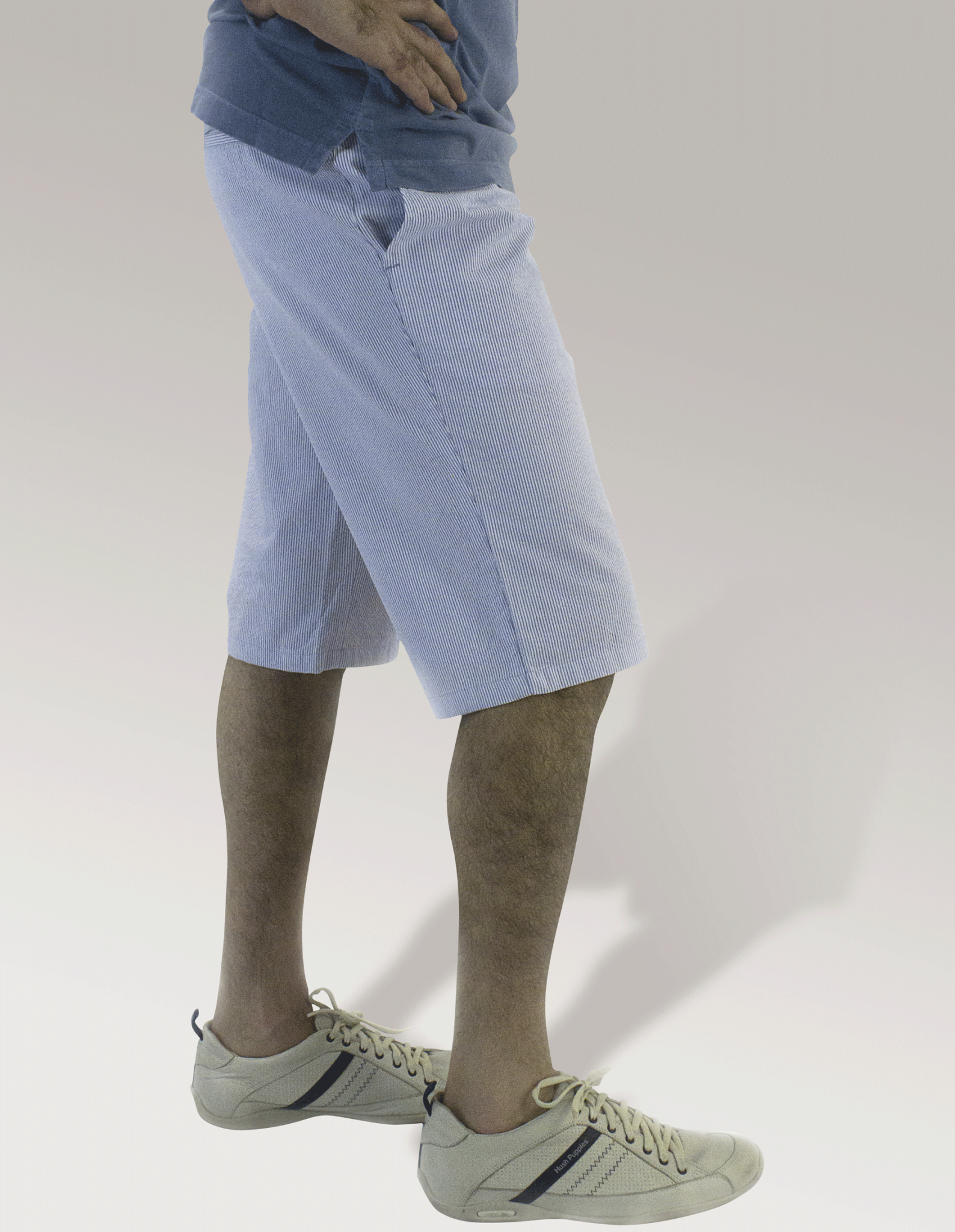 Rayadito Algodón