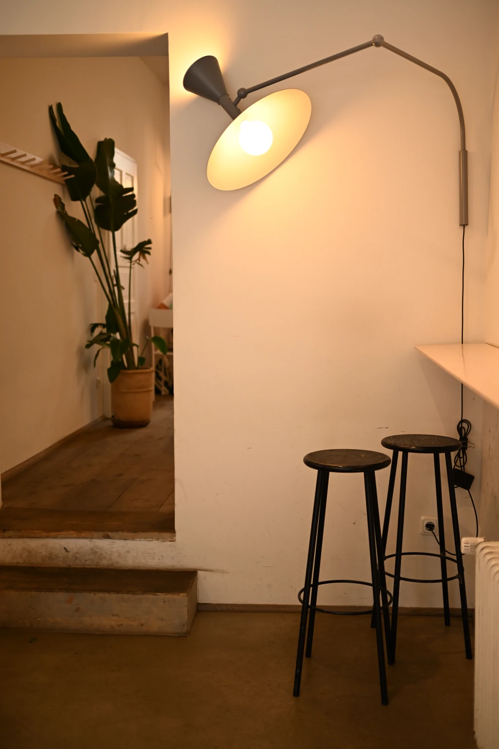 DSC0370.webp