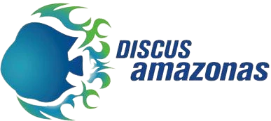 Mayorista Discus Amazonas