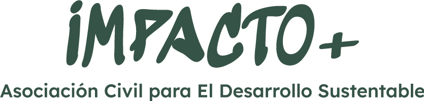 ASOCIACIÓN CIVIL IMPACTO+