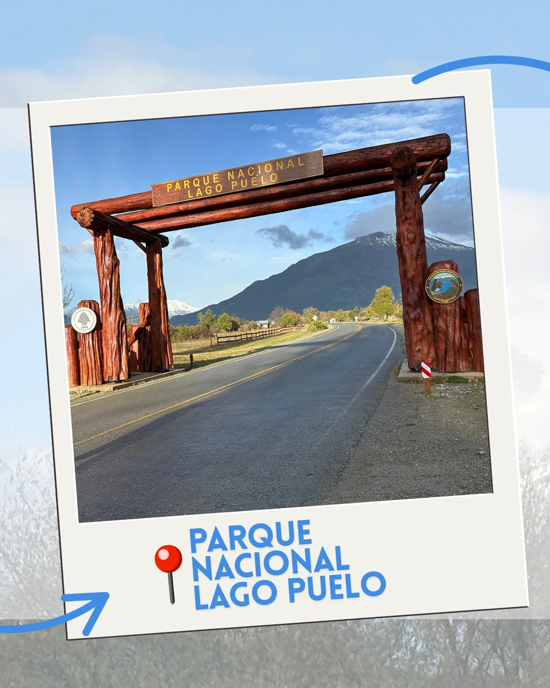 CopiadeCarruselInvierno2025fila-1-columna-2.webp