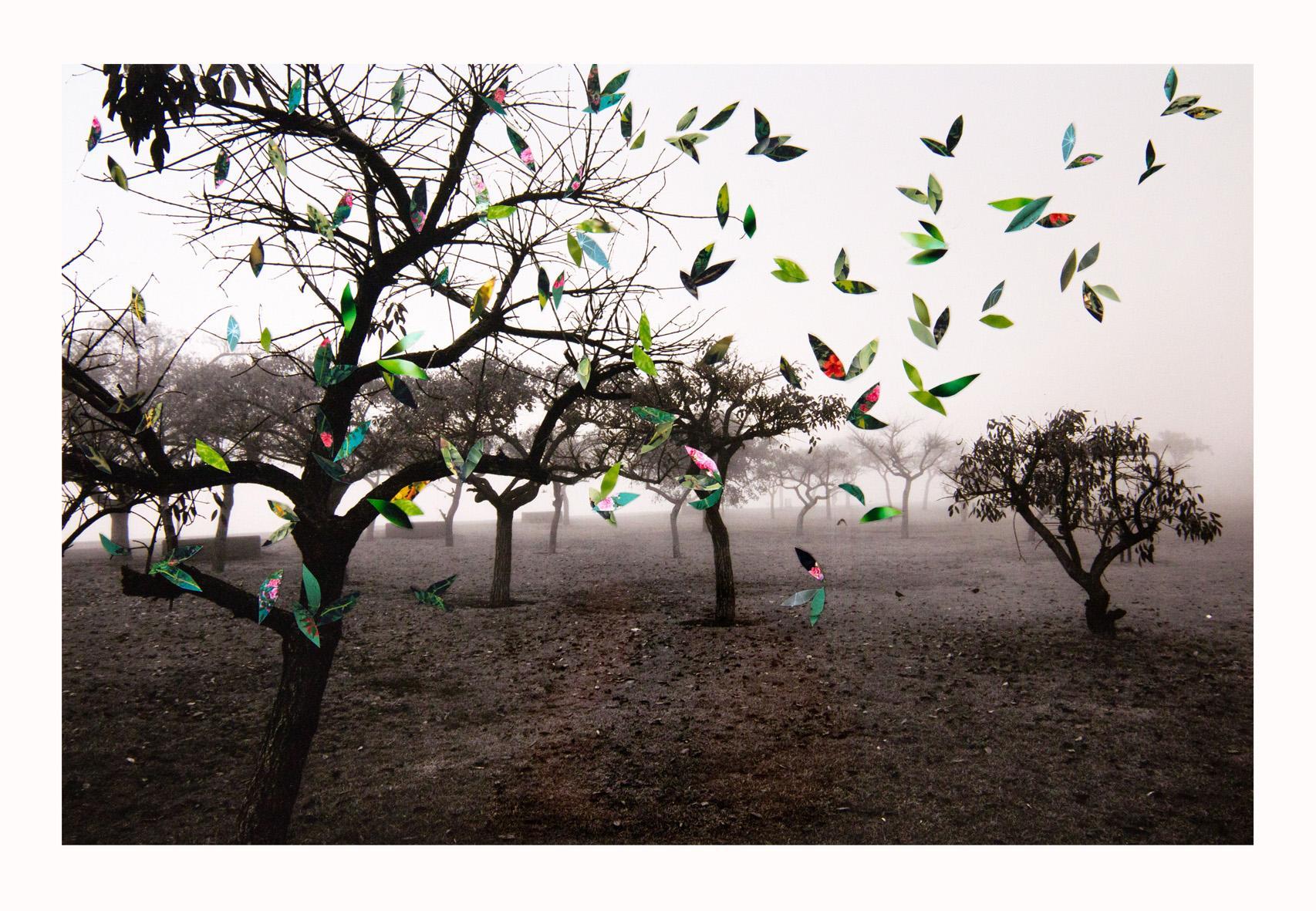 56x42 cms collage fotográfico 2015