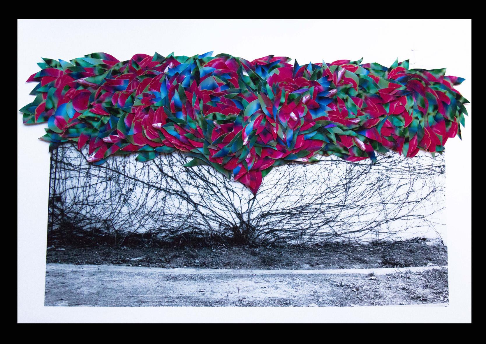 Collage fotográfico 57 x 42cms